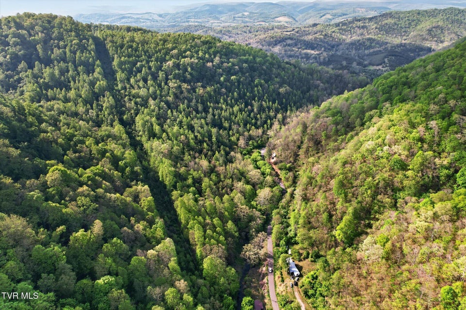 Photo #12: Tbd Mill Creek Road