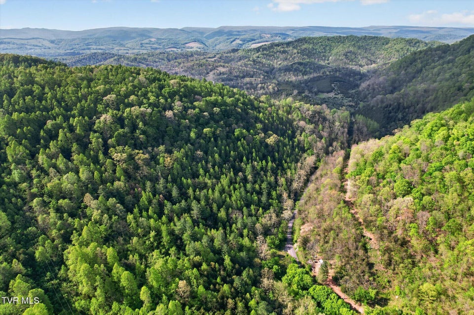 Photo #13: Tbd Mill Creek Road