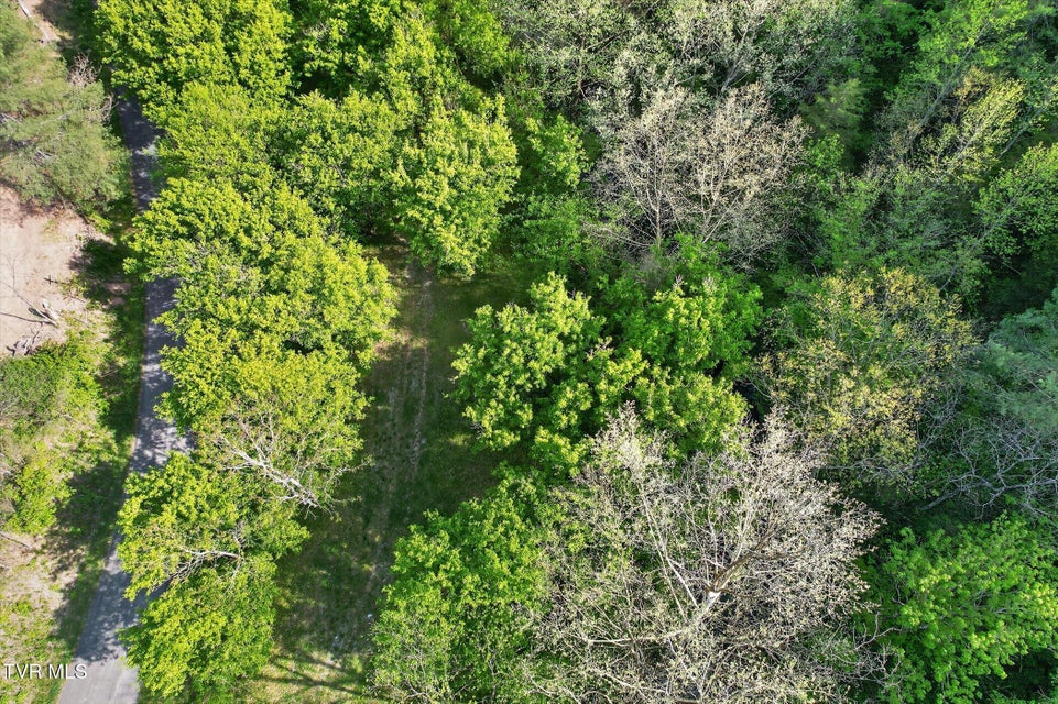 Photo #2: Tbd Mill Creek Road