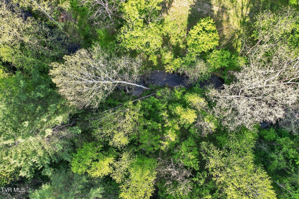 Photo #5: Tbd Mill Creek Road