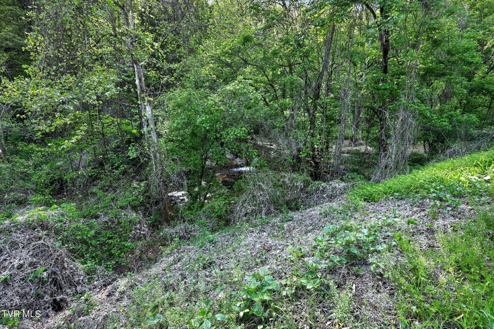 Photo #3: Tbd Mill Creek Road