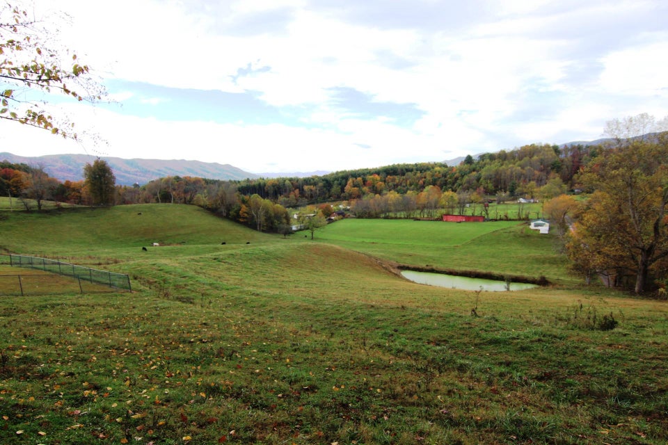 Photo #5:   