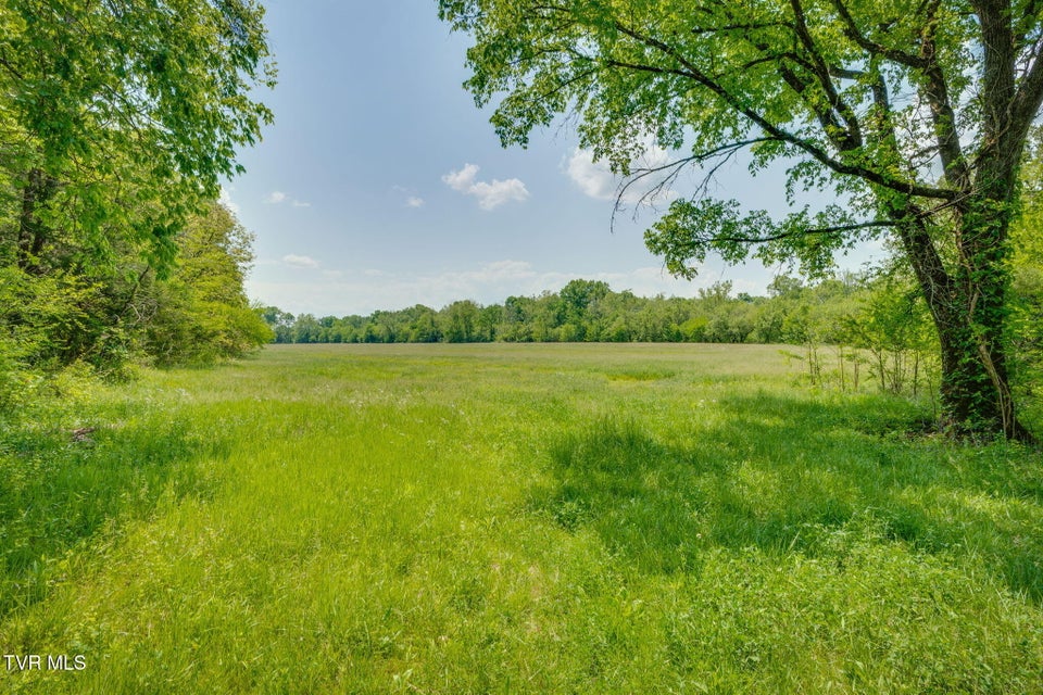 Photo #33: 2105 Flea Ridge Road