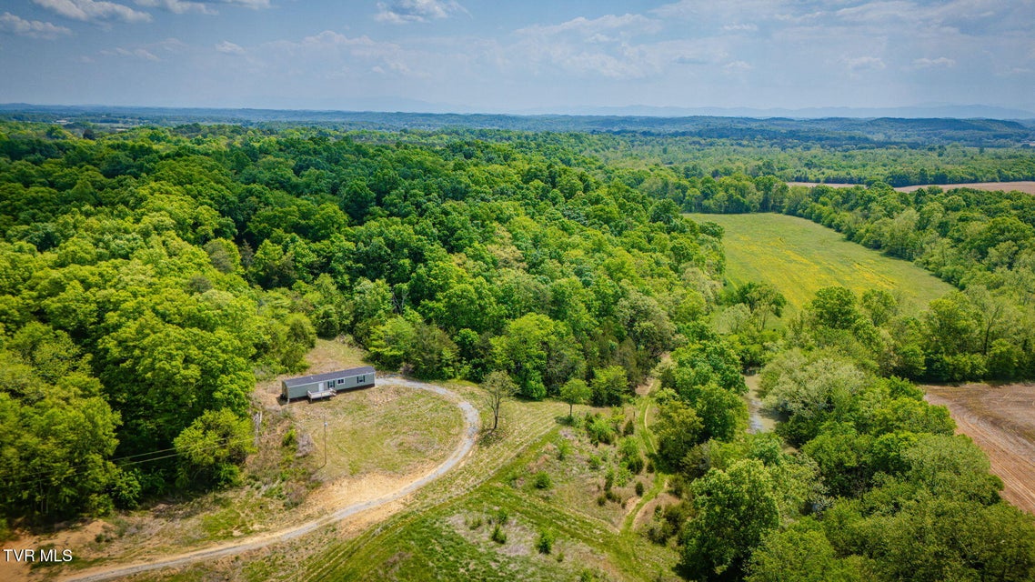 Photo #4: 2105 Flea Ridge Road