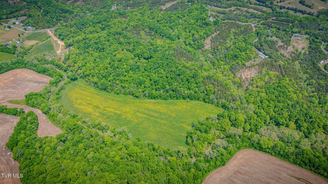 Photo #40: 2105 Flea Ridge Road