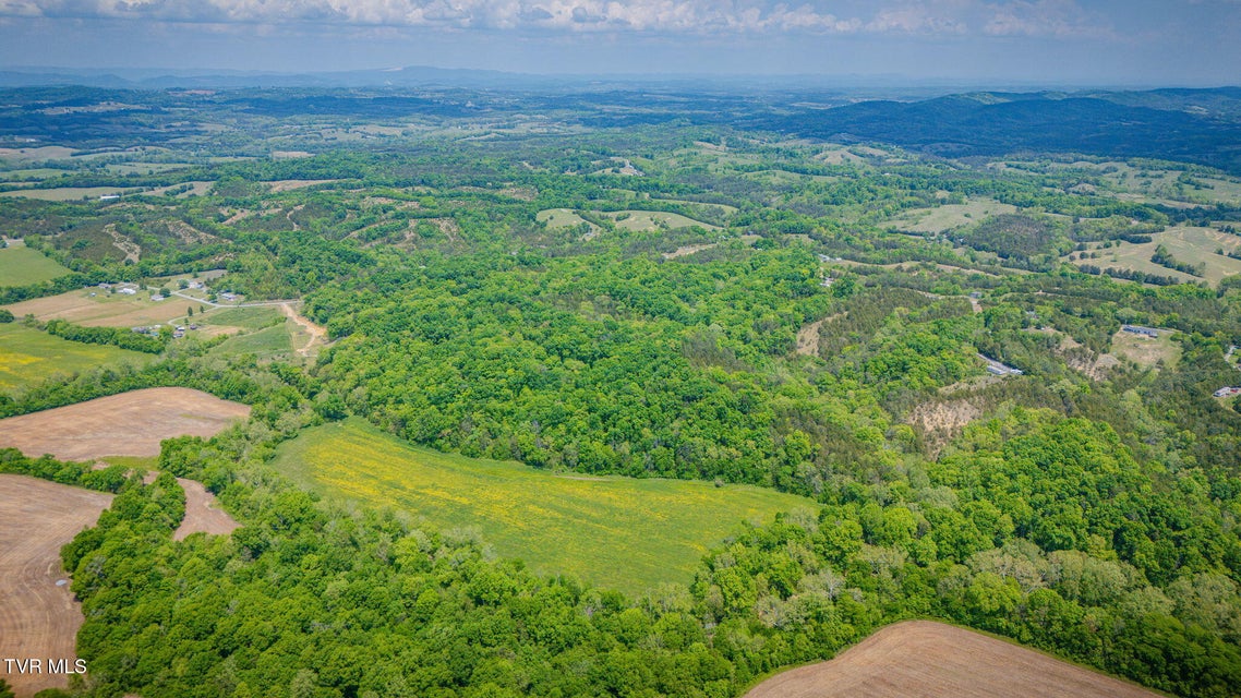 Photo #41: 2105 Flea Ridge Road