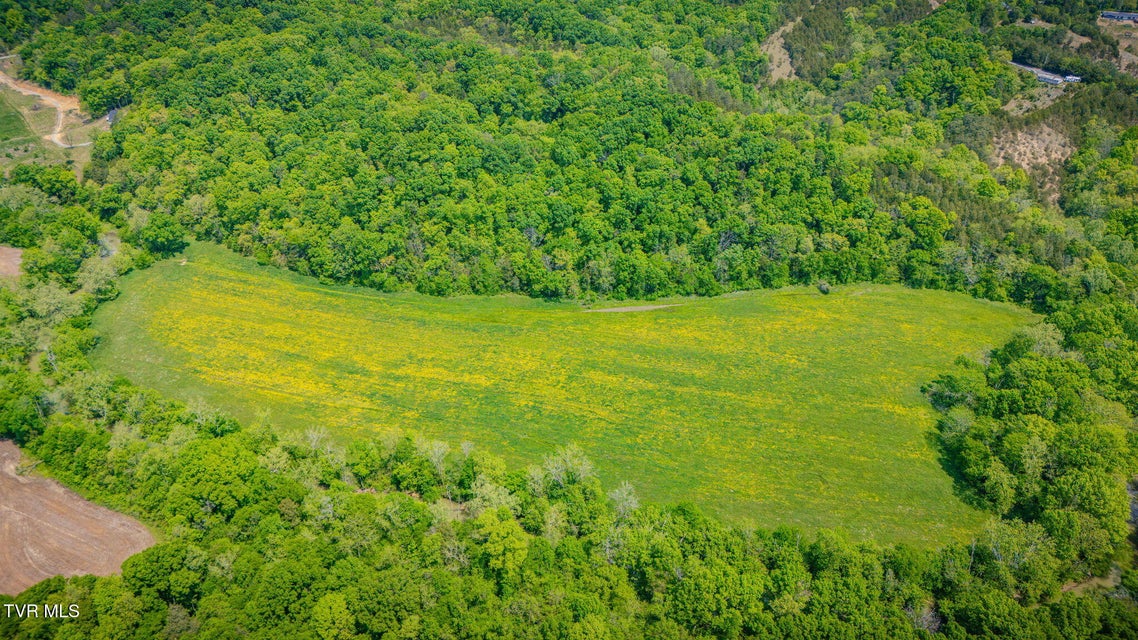 Photo #42: 2105 Flea Ridge Road