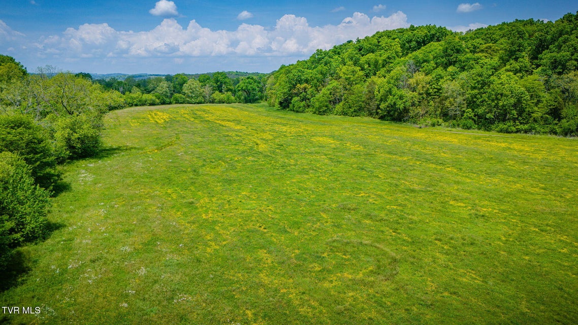 Photo #43: 2105 Flea Ridge Road