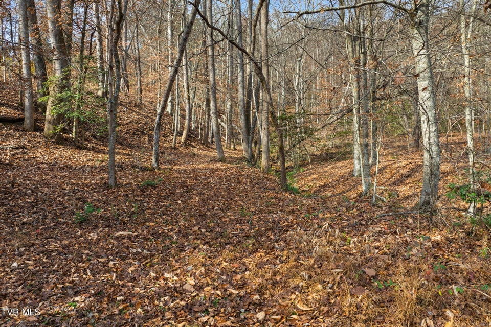 Photo #25: 106 Barker Road