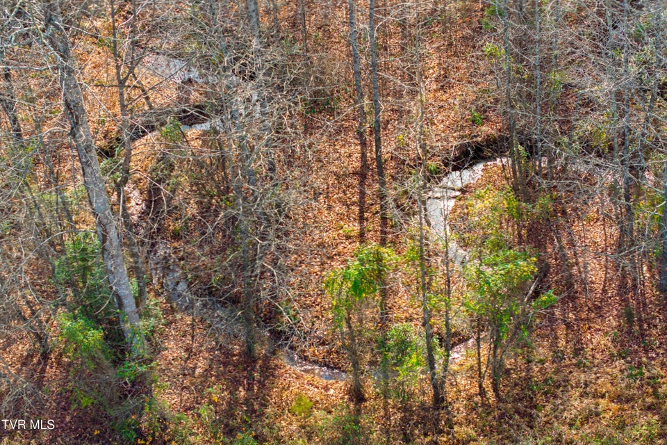 Photo #26: 106 Barker Road