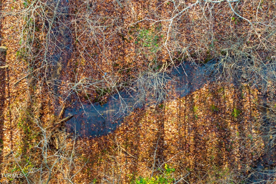 Photo #27: 106 Barker Road