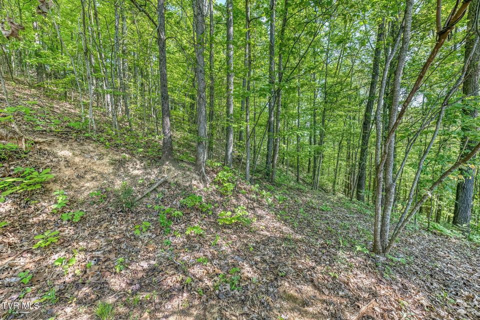 Photo #85: 520 Highway 93 