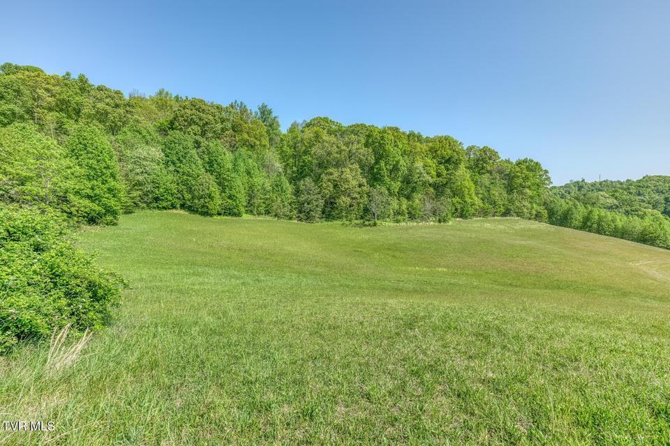 Photo #13: 520 Highway 93 