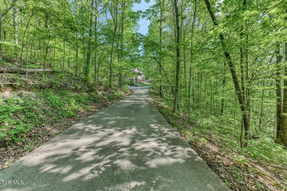 Photo #19: 520 Highway 93 