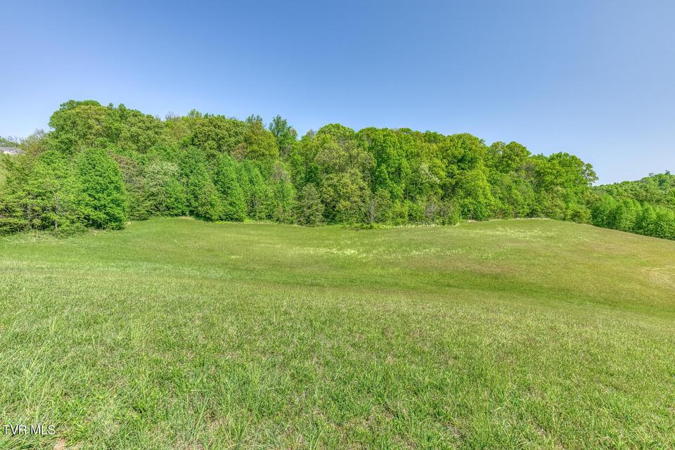 Photo #92: 520 Highway 93 