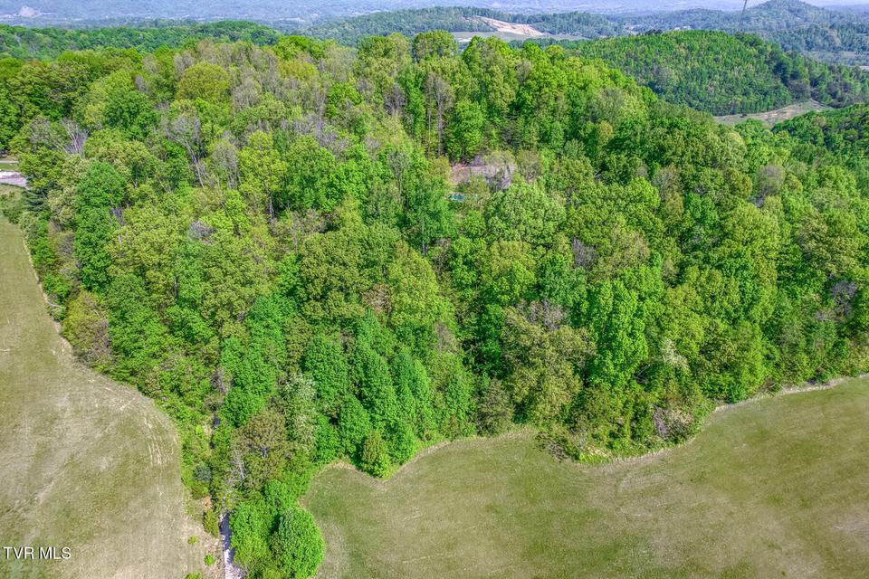 Photo #98: 520 Highway 93 