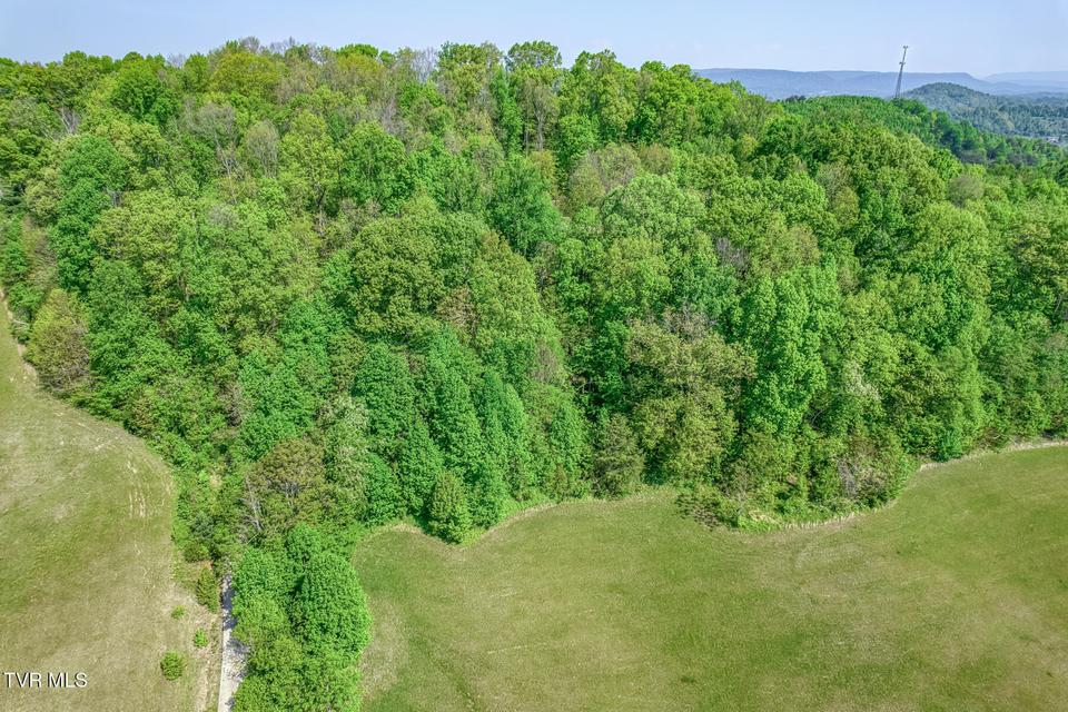 Photo #99: 520 Highway 93 