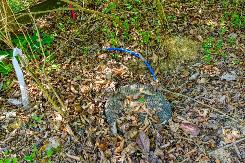 Photo #2: Lot 4 Golf Course Road