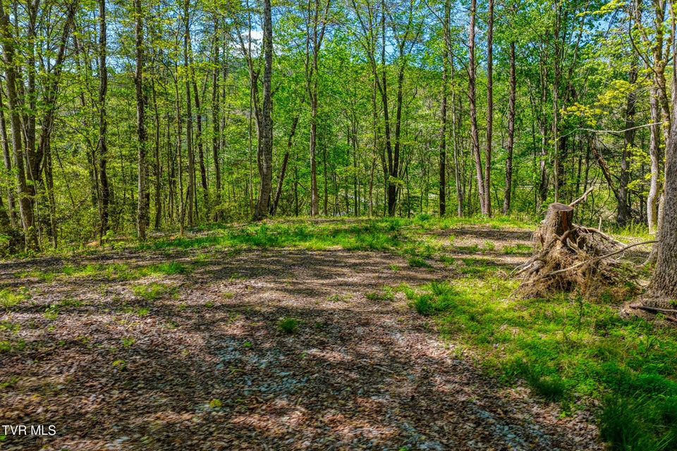 Photo #5: Lot 4 Golf Course Road