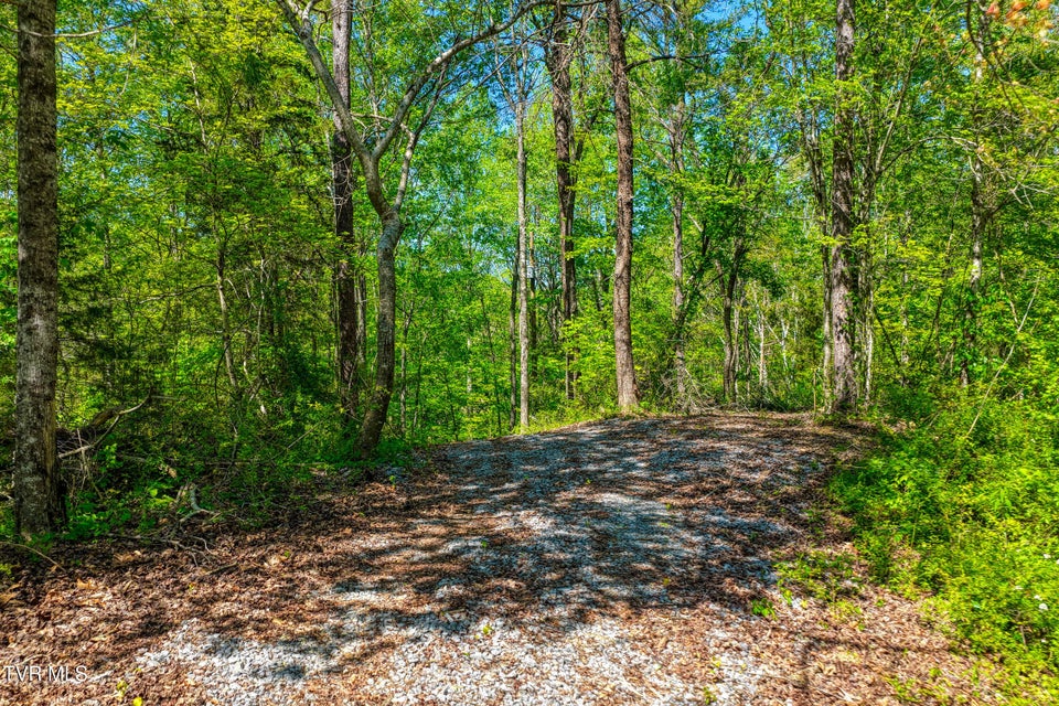 Photo #7: Lot 4 Golf Course Road