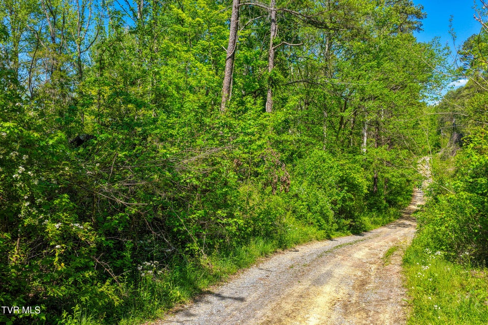 Photo #9: Lot 4 Golf Course Road