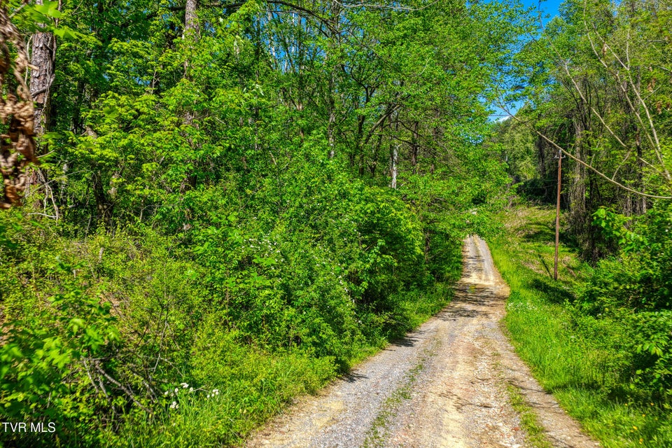 Photo #10: Lot 4 Golf Course Road