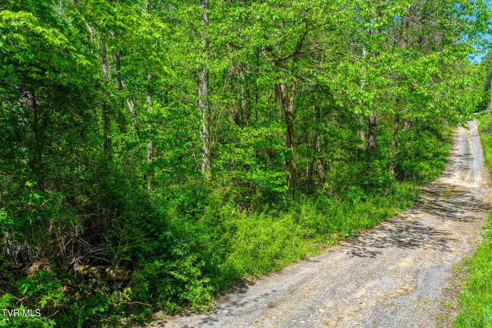 Photo #11: Lot 4 Golf Course Road