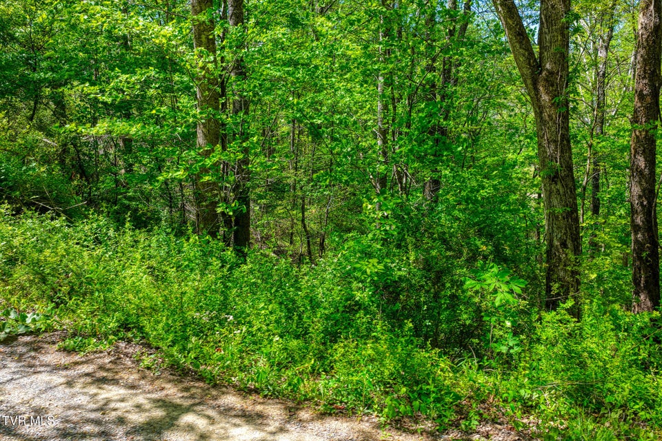 Photo #12: Lot 4 Golf Course Road