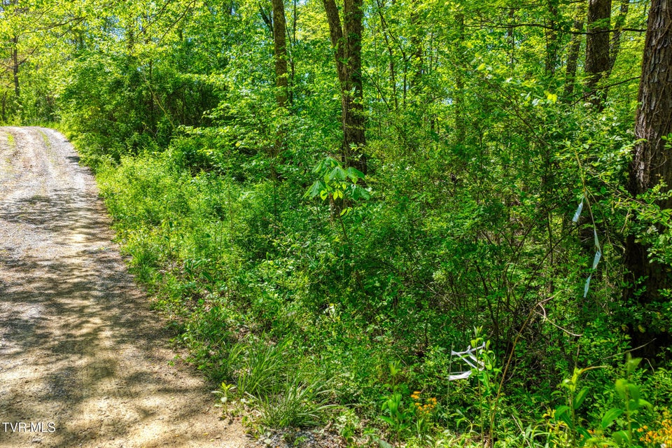 Photo #13: Lot 4 Golf Course Road