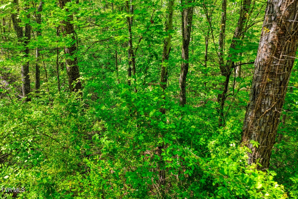 Photo #14: Lot 4 Golf Course Road