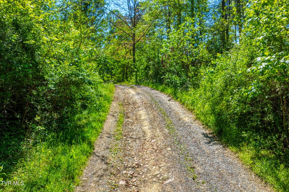 Photo #15: Lot 4 Golf Course Road