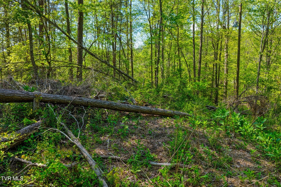 Photo #16: Lot 4 Golf Course Road