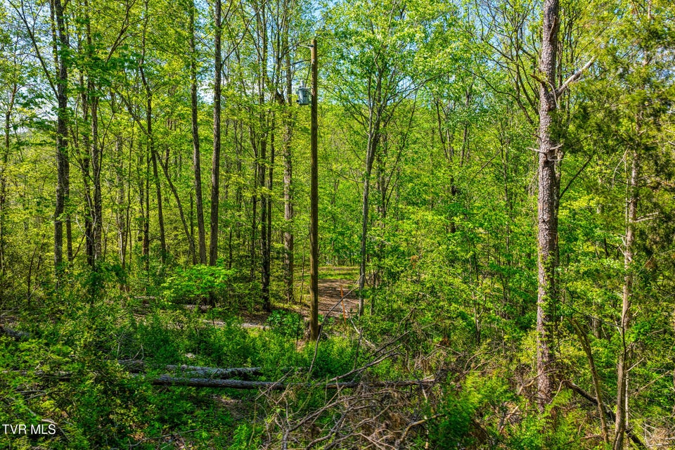 Photo #17: Lot 4 Golf Course Road