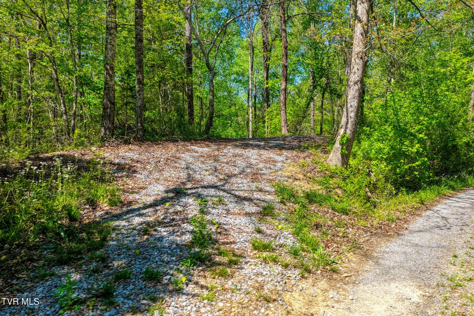 Photo #18: Lot 4 Golf Course Road