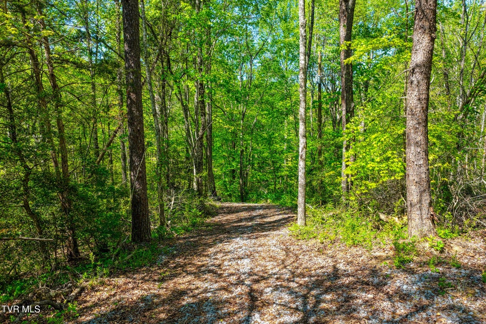 Photo #19: Lot 4 Golf Course Road