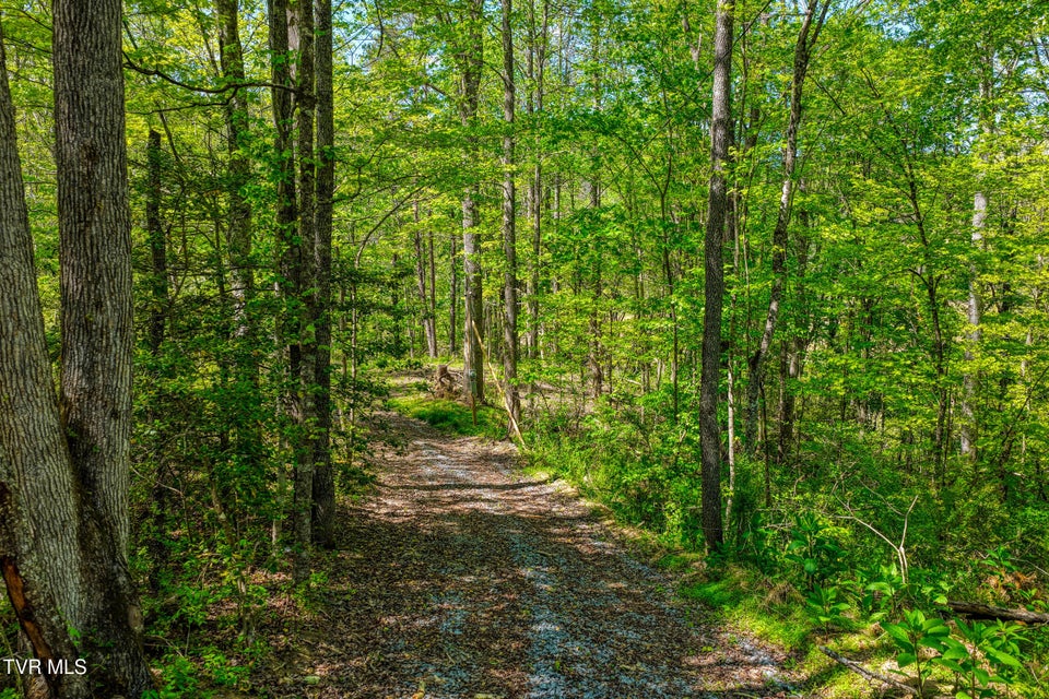 Photo #20: Lot 4 Golf Course Road