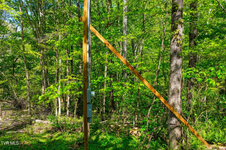 Photo #23: Lot 4 Golf Course Road