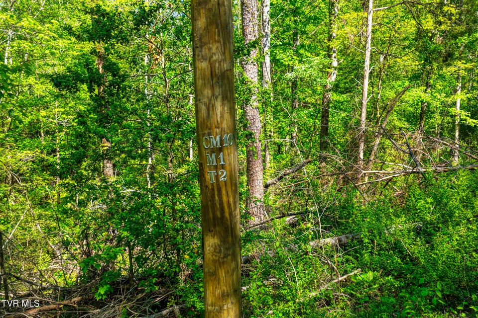 Photo #24: Lot 4 Golf Course Road