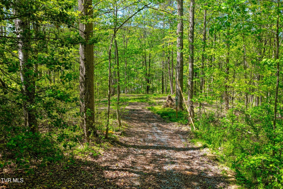 Photo #25: Lot 4 Golf Course Road