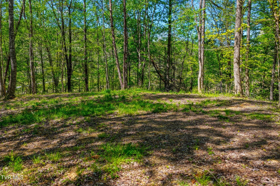 Photo #27: Lot 4 Golf Course Road