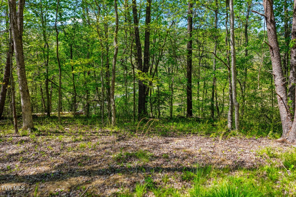 Photo #28: Lot 4 Golf Course Road