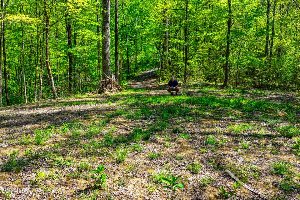 Photo #29: Lot 4 Golf Course Road