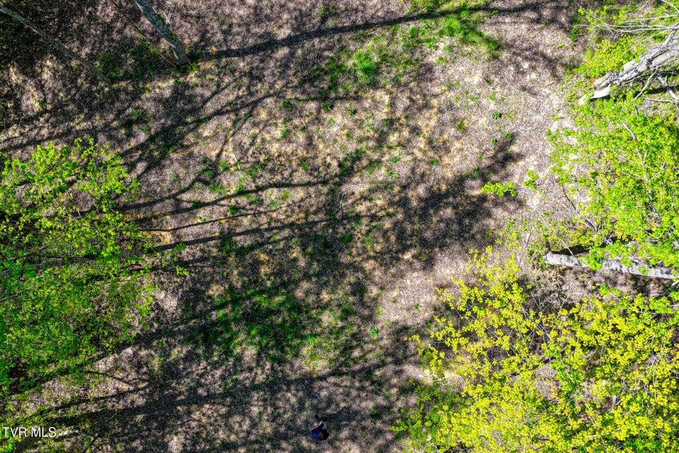 Photo #30: Lot 4 Golf Course Road