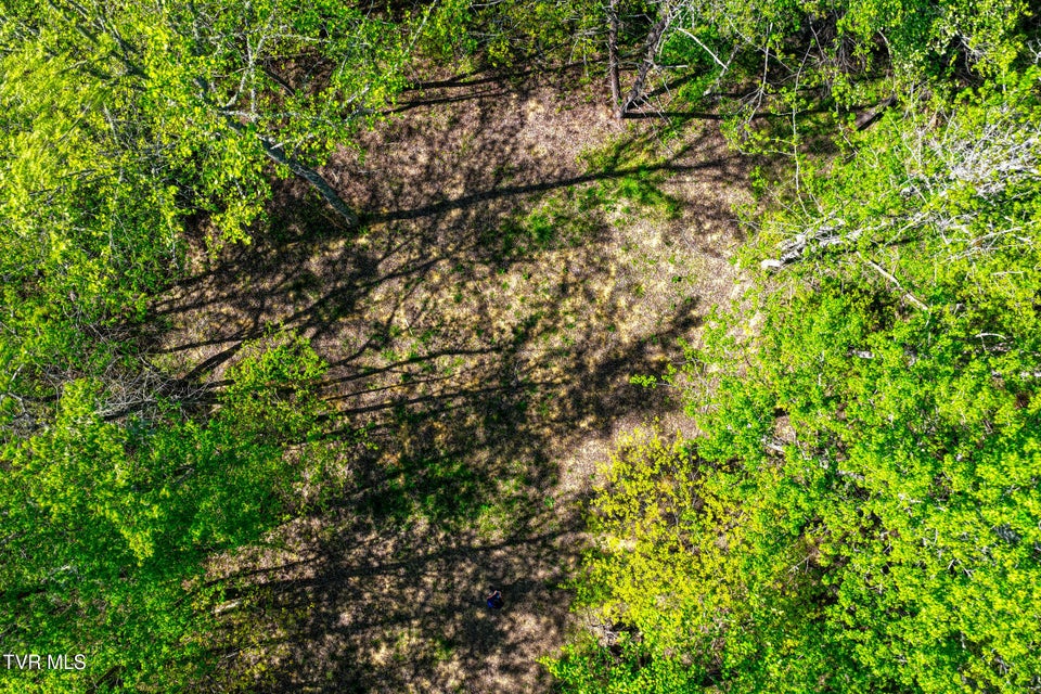 Photo #31: Lot 4 Golf Course Road