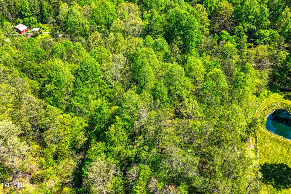 Photo #34: Lot 4 Golf Course Road