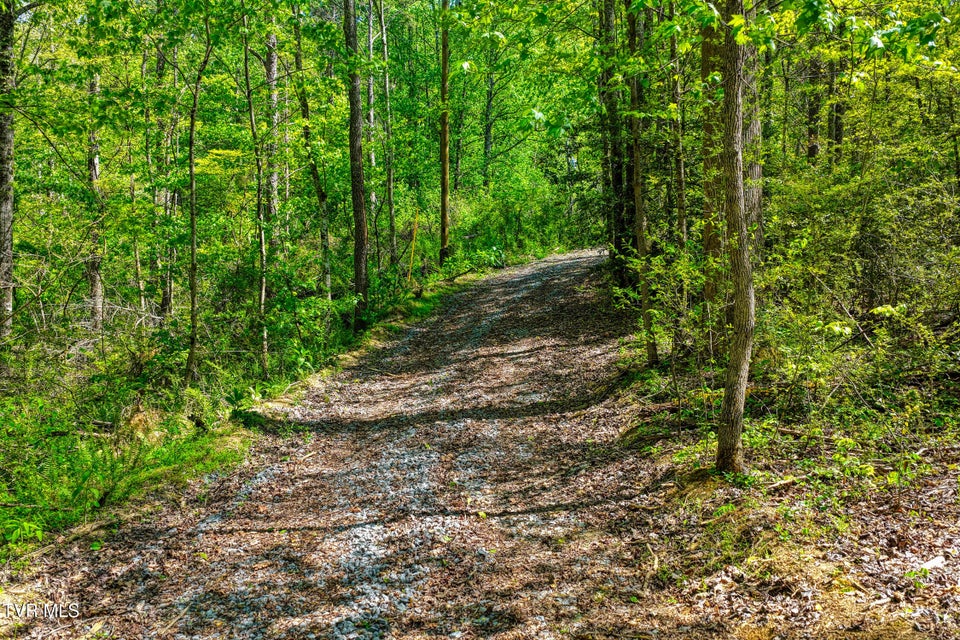 Photo #35: Lot 4 Golf Course Road