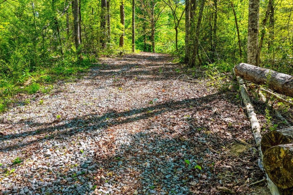 Photo #36: Lot 4 Golf Course Road