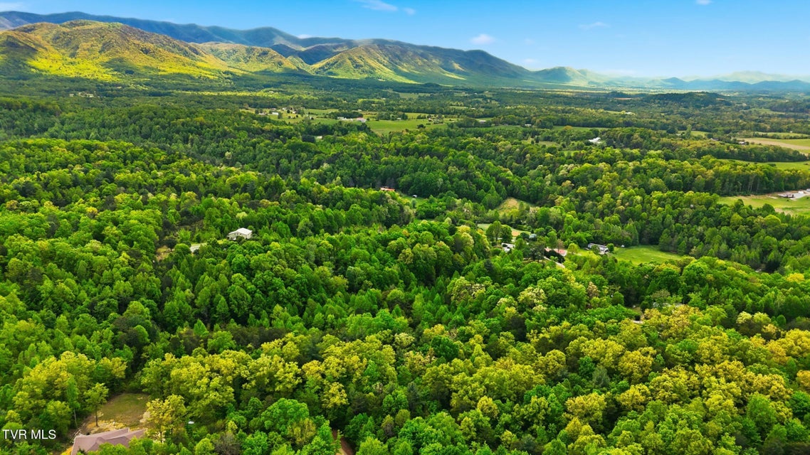 Photo #6: 2736 Middle Creek Road