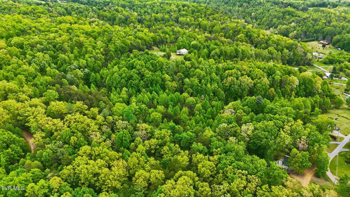 Photo #7: 2736 Middle Creek Road