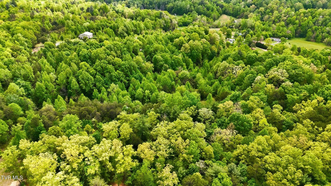 Photo #10: 2736 Middle Creek Road